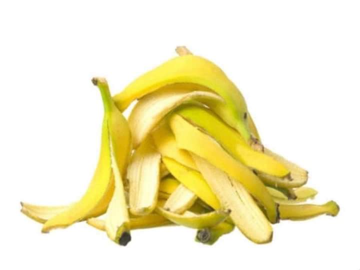 ငှက်ပျောခွံရဲ့ အသုံးဝင်ပုံများ