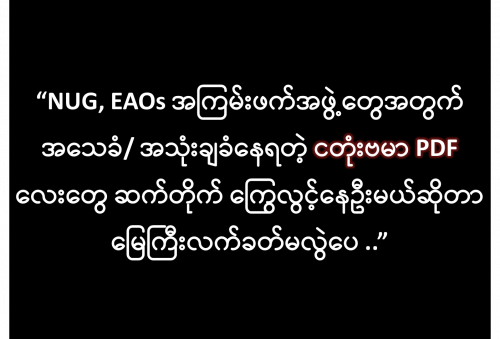 ကိုယ့်လူမျိုးကိုယ် မသိတတ်တဲ့ အသုံးချခံ ဗမာငတုံးများ